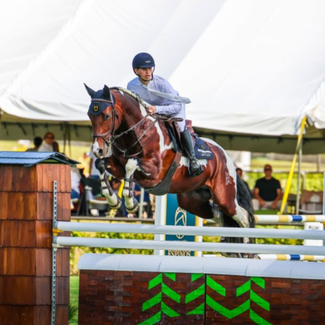 Show Jumping and style: young rider Emiliano Schiavone shares his story